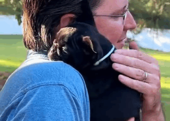 M1110011 Rescue a puppy #animals #rescue #rescueanimals #animalsoftiktok #dogsoftiktok #dog #puppy #fyp part2