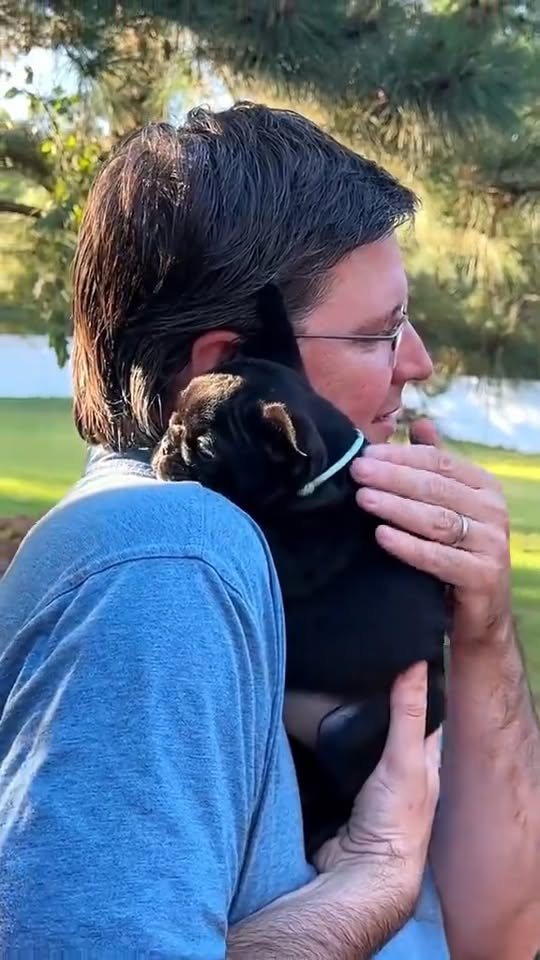 M1110011 Rescue a puppy #animals #rescue #rescueanimals #animalsoftiktok #dogsoftiktok #dog #puppy #fyp part2