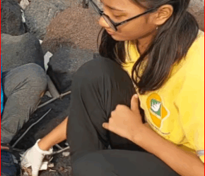 kasian ada bangkai kucing aksi bersih pantai seri #ses2025 #surab…_part2