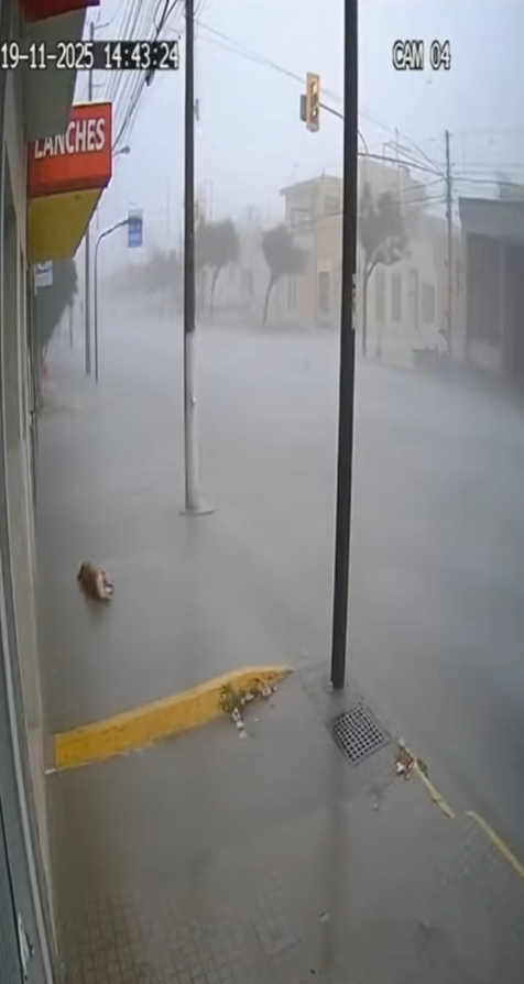 M1111030 Moradores relatam desespero após tornado destruir cidade no interior part1