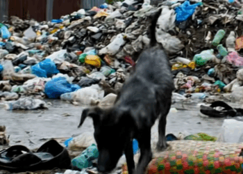 M1511001Sending love part 2