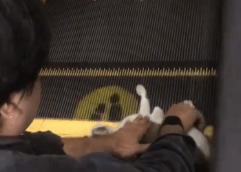 M0111024_par 2 kucing diselamad kan oleh sadpam😇😇_part2