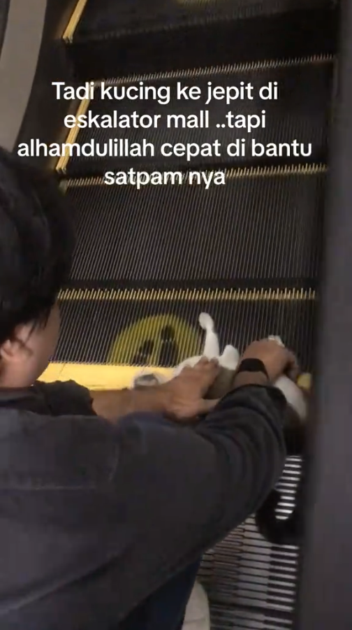 M0111024_par 2 kucing diselamad kan oleh sadpam😇😇_part2