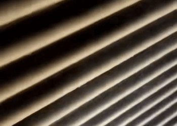 M1511004 poor little cat #cat #animal #fyp part2