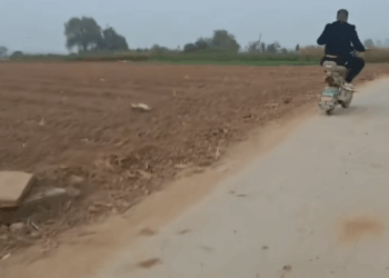 M1511055_ WHY DID THEY DO THIS TO THIS POOR LITTLE DOG?#helping #viraltiktok #puppy_part2