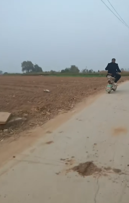 M1511055_ WHY DID THEY DO THIS TO THIS POOR LITTLE DOG?#helping #viraltiktok #puppy_part2