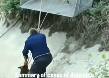 M1511009 Summary of cases of drowning dogs being saved by kind person