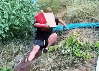 M1511012 dog was abandoned in bridge hole, covered dirt, life