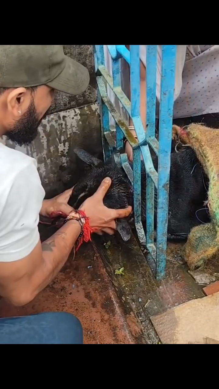 M1511016 Lo dejaron ahorcado nadie lo ayudaba pobrecito part2