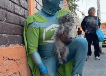 M1511017 La encontramos solita, pegada una barda donde pasaban varias personas Zadrigman Oficial Rescata part2