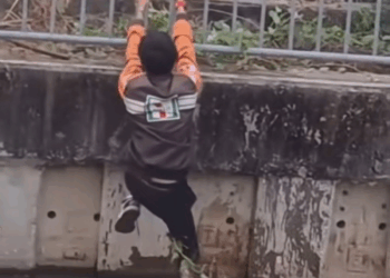 M1511018 Rot Wachon #Thank you #Cat #Cat slave #R Wachon part 2