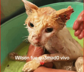 M1511021_A pleasure to see you reborn…_part2