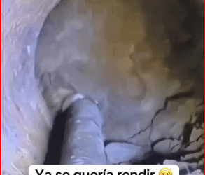 M1511033_Lo dejaron enterrado sufrió mucho dolor ya se quería rendir estaba muy grave_part2