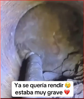 M1511033_Lo dejaron enterrado sufrió mucho dolor ya se quería rendir estaba muy grave_part2