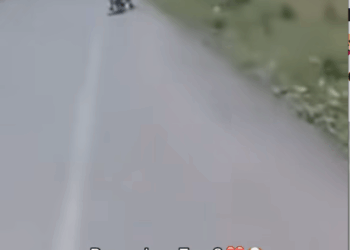 M0111020_‼️Adopta con el corazón ♥️‼️ ¿Recuerdan a Taco 💔🐶 Hace tres años, su historia nos rompió el alma su tutor lo arrastr_part2