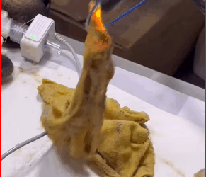 M1511045_Filhote de golden tem um gostinho bem peculiar Retirados panos de…_part2