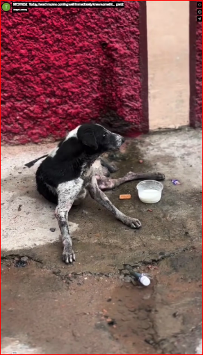 M1511052_Today, heard moans coming well immediately knew somethi…_part2