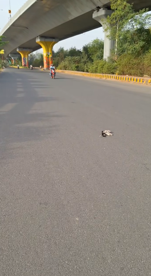 M0111029_Slow down your driving friends, everyone’s life is equal🙏😭_part2