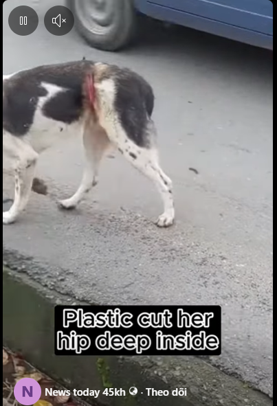 M1911011 She suffered super pain without any help plastic cut her hip d