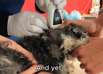 M1911012 He Suffered Someone Else Mistake part 2