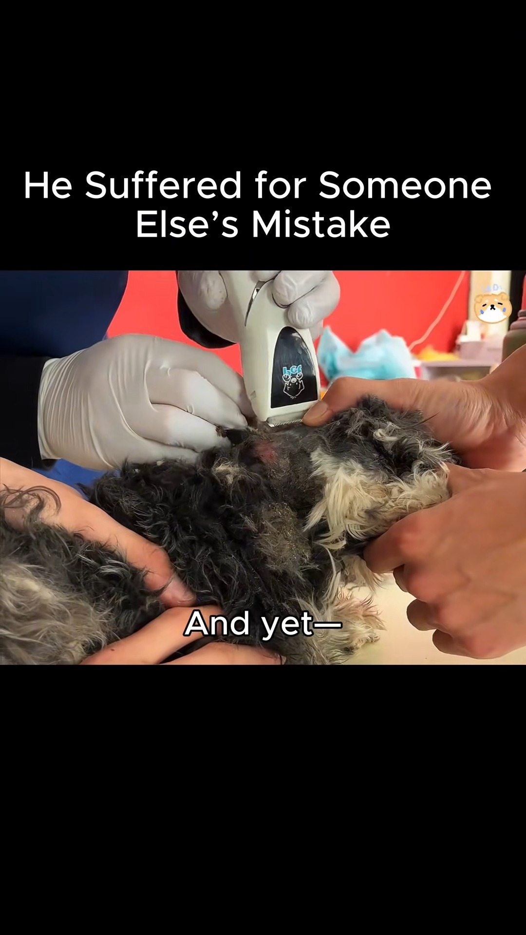 M1911012 He Suffered Someone Else Mistake part 2