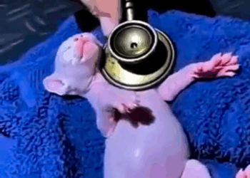 M1911020 As vezes, apenas um olhar fala mais que mil palavras part2