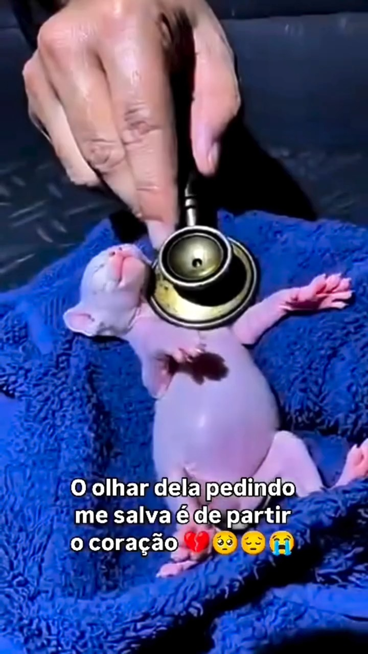 M1911020 As vezes, apenas um olhar fala mais que mil palavras part2