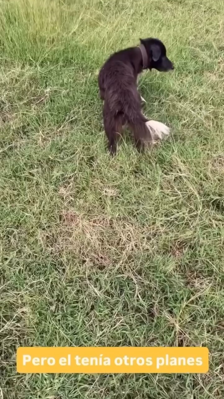 M1911022 Fredy Camargo on Reels part2