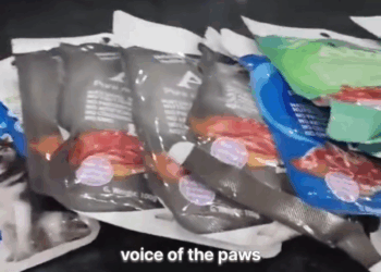 M1911024 GR4BE DI AKO NAGK4M4LI SA NAHANAP KONG BAG0NG MOMMY NI PRINCE part 2