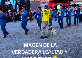 M1911029 🥺 looking at that dog like that my tears just kept flowing part2