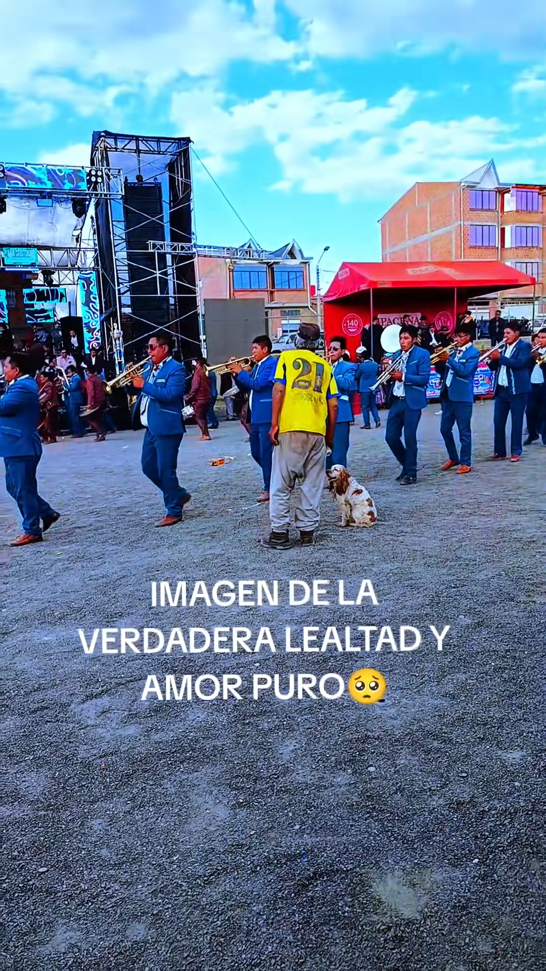 M1911029 🥺 looking at that dog like that my tears just kept flowing part2