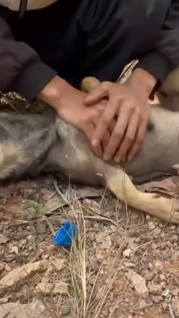 M2211010 They beat our mother for giving us life, they almost let us die part2