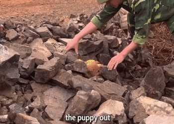 M2511016 Tied Up Buried in Rocks Now He Has Home of Love part2