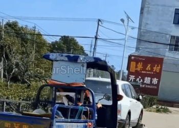 M2511017The sight of the emaciated dog trembling in the wind left anyone who witnessed it with a heavy heart.