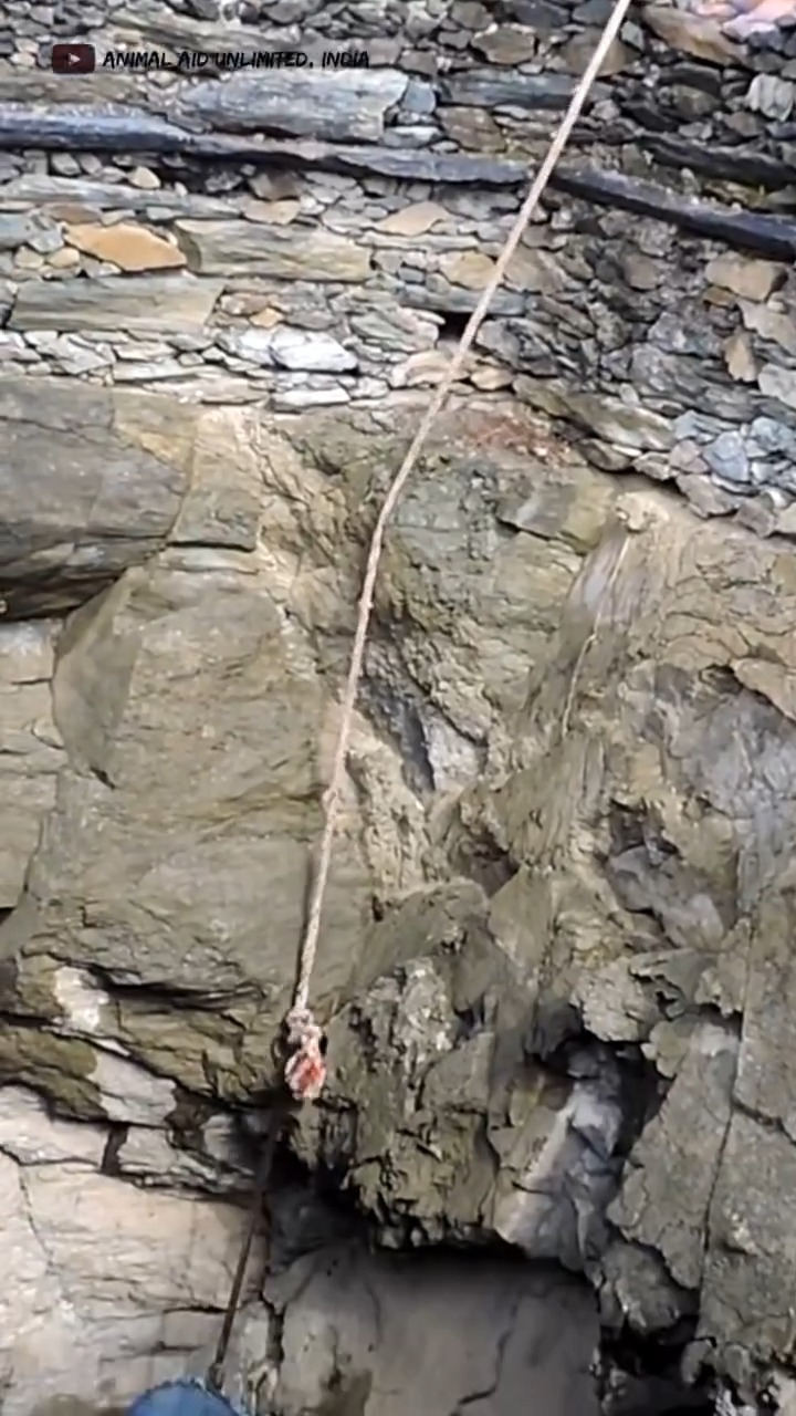 M2511018 Heard Cries Well What Found Left Me Shocked part2