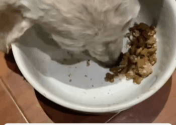 M2511021 It was just another day on my way home get off work until saw part2