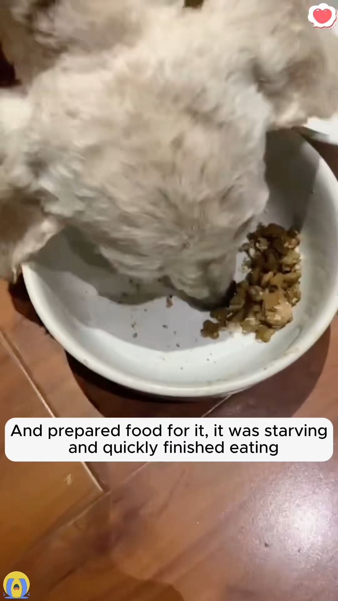 M2511021 It was just another day on my way home get off work until saw part2