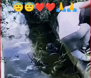 M2711010_#trendingreelsvideo #shorts #virals Joni CR_part2