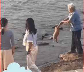 M2711015They may lack empathy and fail to realize that the dog is suffering.