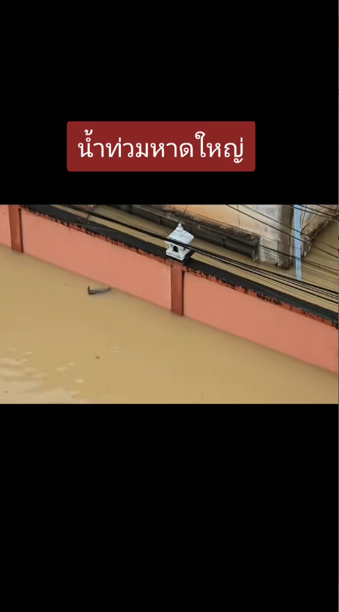 M2911010_The cat is exhausted from the water. Thank you to all the young people. #FloodSongkhla #FloodMaha…_part2