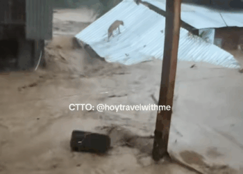 M0511001_Still wala pa mi na rescue Zone Carrot Brgy Paknaan Cebu Kutob tuho…_part2