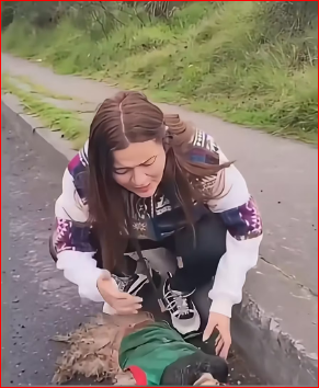 M3011013_puppy clung to its mother body, crying help as tears stream…_part2