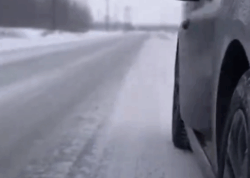 M0111009_The Red Hoodie of Hope ❤️❄️ — A Winter Rescue That Melted Two Hearts 🐶✨#dogrescue #kitten #animallover #kindness #animalrescue _part2