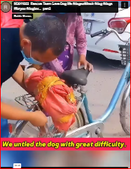 M3011022_Rescue Team Save Dog life #dogsoftiktok #dog #dogs #foryou #doglov…_part2