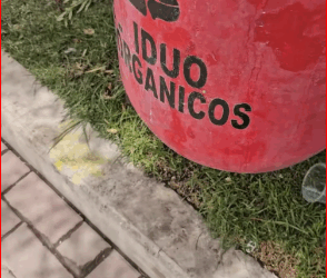 Hasta que no hayas amado un animal, una parte de tu alma permanecer…_part2