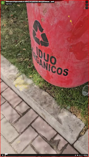 Hasta que no hayas amado un animal, una parte de tu alma permanecer…_part2