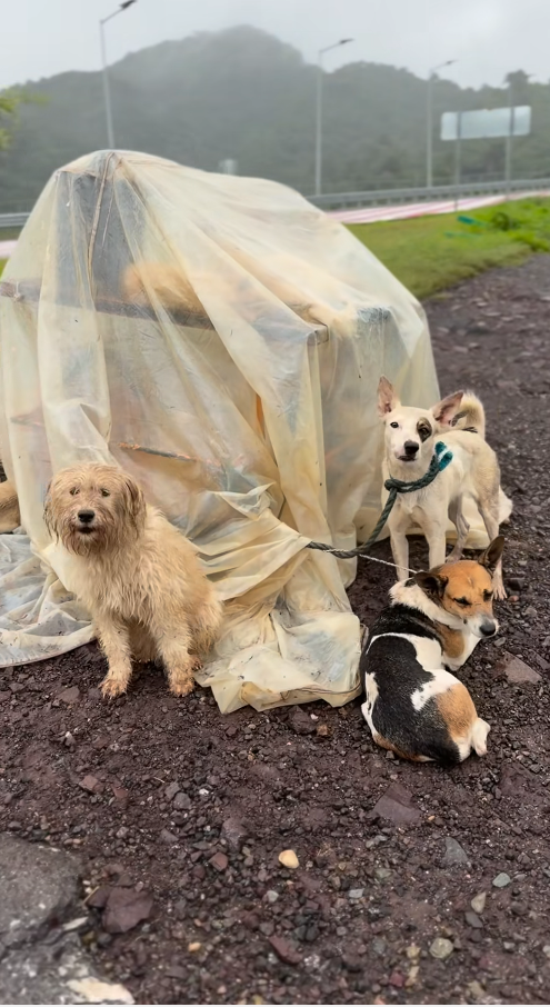 M0111017_F9B9TA5N_part2