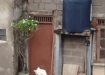 M0511023_Jimmy (1)_part2