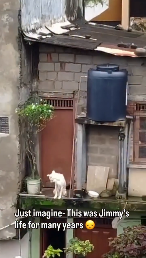 M0511023_Jimmy (1)_part2