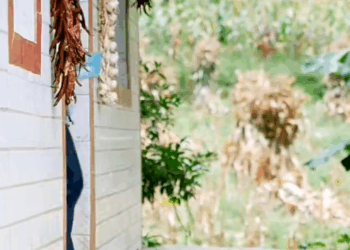 M0511024_owner help his dog #autocamping #cartoonsforkids (1)_part2